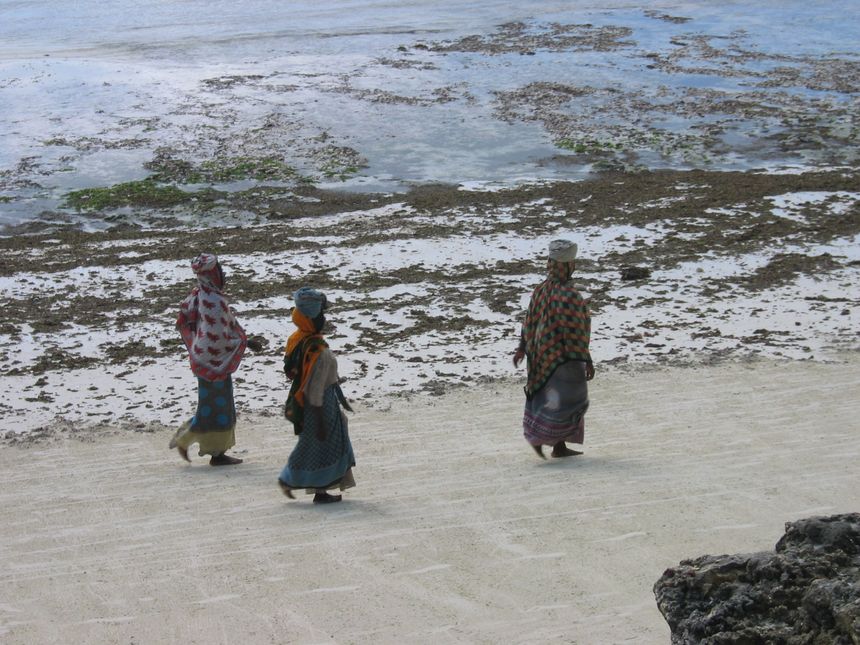 Conversations in Zanzibar: lessons beyond the shore