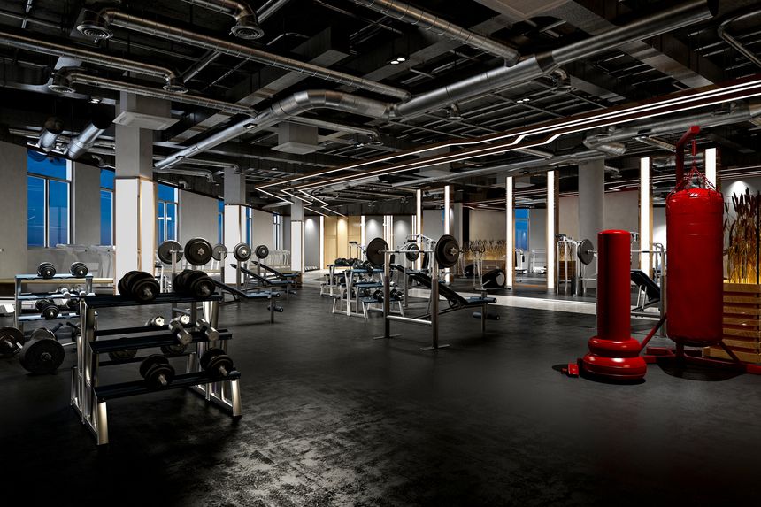 3d render gym fitness wellness center