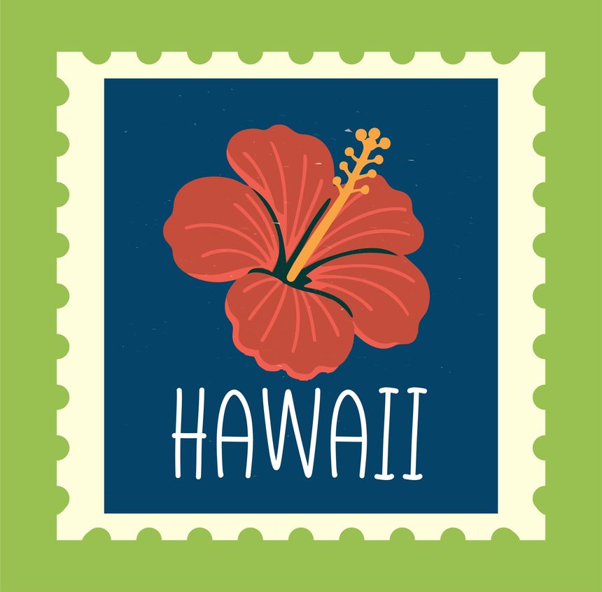 Vintage postage stamp features a red hibiscus flower with Hawaii written below. The background is deep blue, framed by a green border. Concept of travel and tourism. Vector illustration