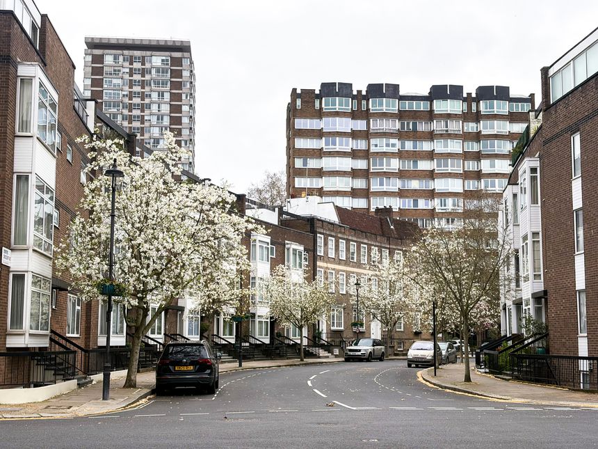 A striking contrast between white magnolia blossoms in full spring bloom and contemporary urban architecture defines this London residential scene, with modern brick apartment buildings and high-rise towers visible in the background. The composition captures the integration of ornamental trees within mixed-use London neighborhoods, where Victorian-era buildings coexist with mid-century residential blocks. This view illustrates how spring flowering trees soften and beautify diverse urban architectural landscapes.