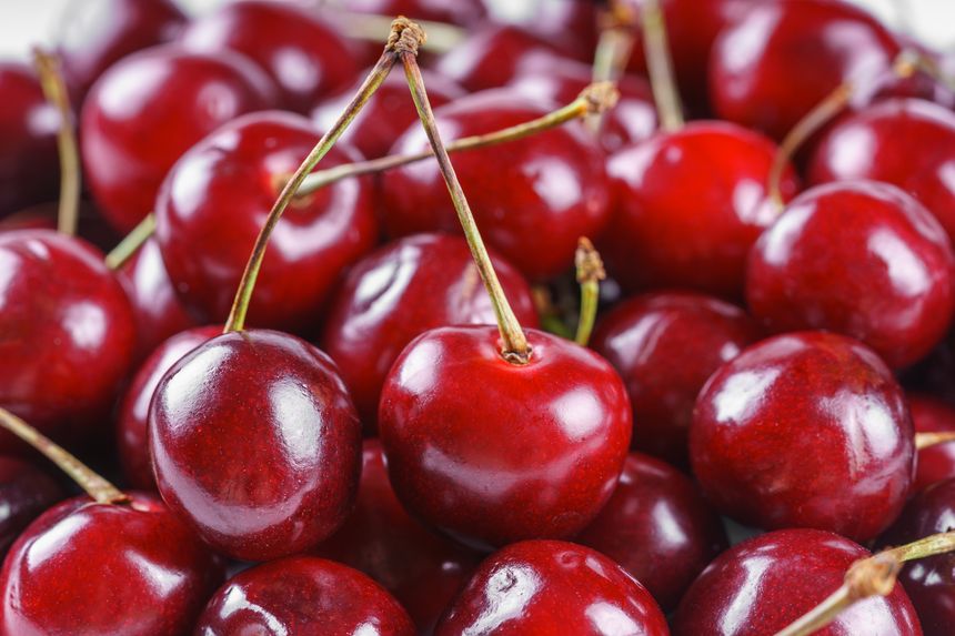 Vibrant closeup, macro of organic fresh ripe sweet cherries with stems, arranged in a natural pile. The deep red color, glossy texture, and fresh look. Food background, wallpaper, backdrop