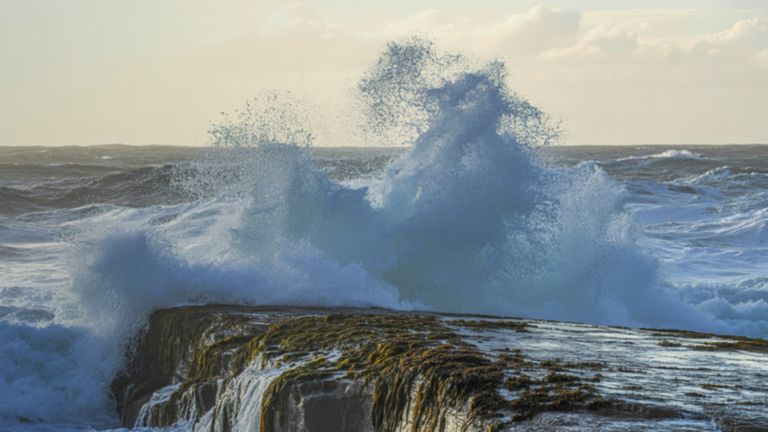 Resilient capital in rough waters: Building financial strength from within