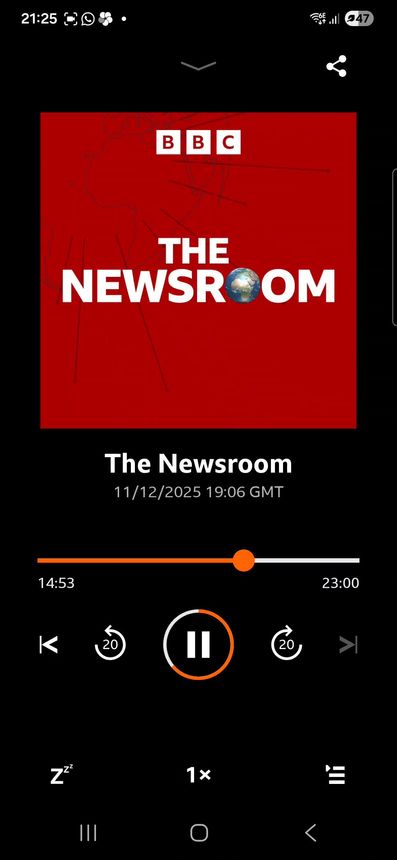 BBC World Service 'The Newsroom' interview - the potential collapse of Pillar 2.