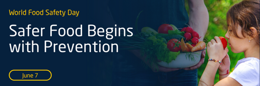 From Burden to Solutions: How HACCP Drives Safer Food Systems