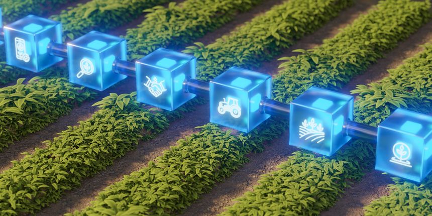 Blockchain agriculture concept. Digital farming technology, smart supply chain. Futuristic glowing blocks with farm icons over green field. sustainability, data management.