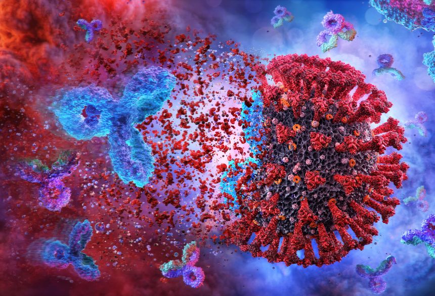 Viral particle destruction. mRNA vaccine interacting with virus. mRNA vaccine development technology, human immune system combating pathogen infectious diseases. Immune system, IgM IgG, IgE, IgD, IgA antibodies glycoproteins, specific antigens against virus. Medicine science research, 3D illustration