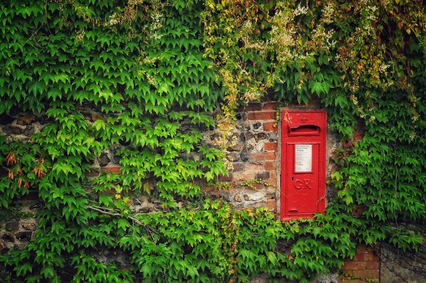This photograph features a striking red post box embedded in an old stone and brick wall, partially enveloped by lush green ivy. The vibrant foliage cascades around the weathered wall, contrasting beautifully with the bold red of the post box, which bears the