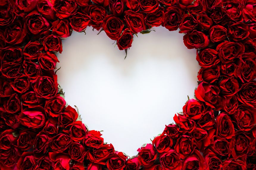 Red roses frame with love shape empty space white background for Valentine's and Mother day concept.