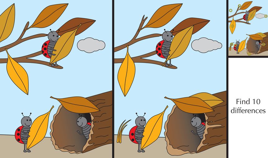 Educational game for preschool kids - finding differences - cartoon illustration of ladybugs with a solution