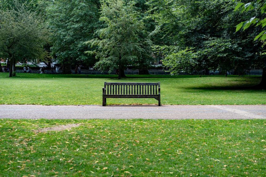 A dark wooden bench sits in St James Park along a pathway surrounded by green grass and large trees. This tranquil image is perfect for promoting urban parks and outdoor relaxation spaces.