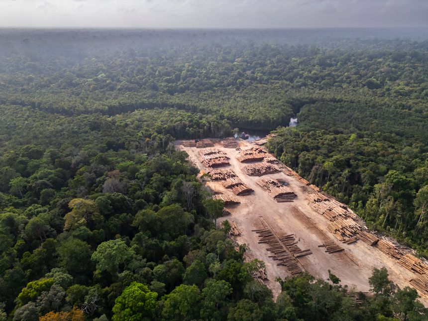 Aerial drone view of Amazon rainforest log storage area: sustainable wood harvesting amidst the dense jungle canopy