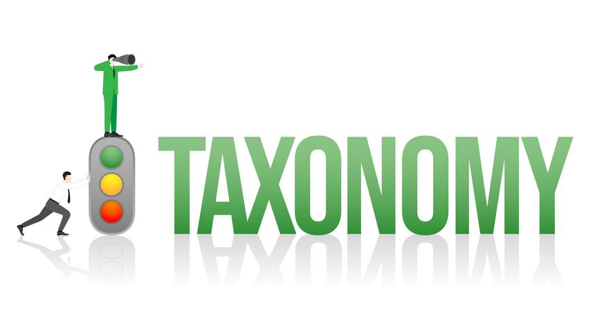 Changing of a new global business policy. Vision businessman on Taxonomy with Traffic Light System. ESG sustainability, Taxonomy, economy, ecology, and sustainable development. Vector illustration.