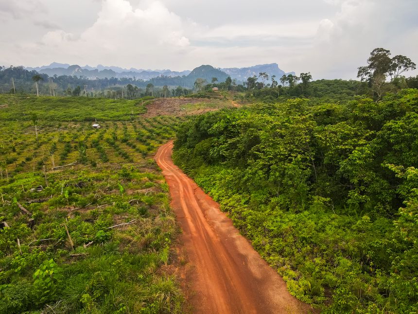 An aerial view of land clearing for a palm oil plantation on the edge of the tropical rainforest near Merabu Village, Berau. This landscape highlights the issue of deforestation with the magnificent Merabu Karst mountains in the background, East Kalimantan, Borneo.