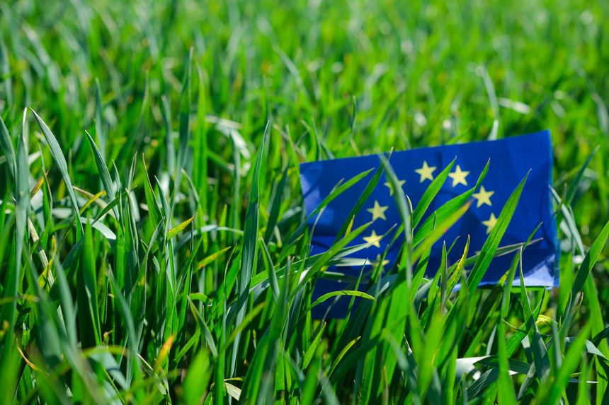 European Union Flag on the green wheat field background. Sunlight. Shallow depth of field. Minimal. Copy space.