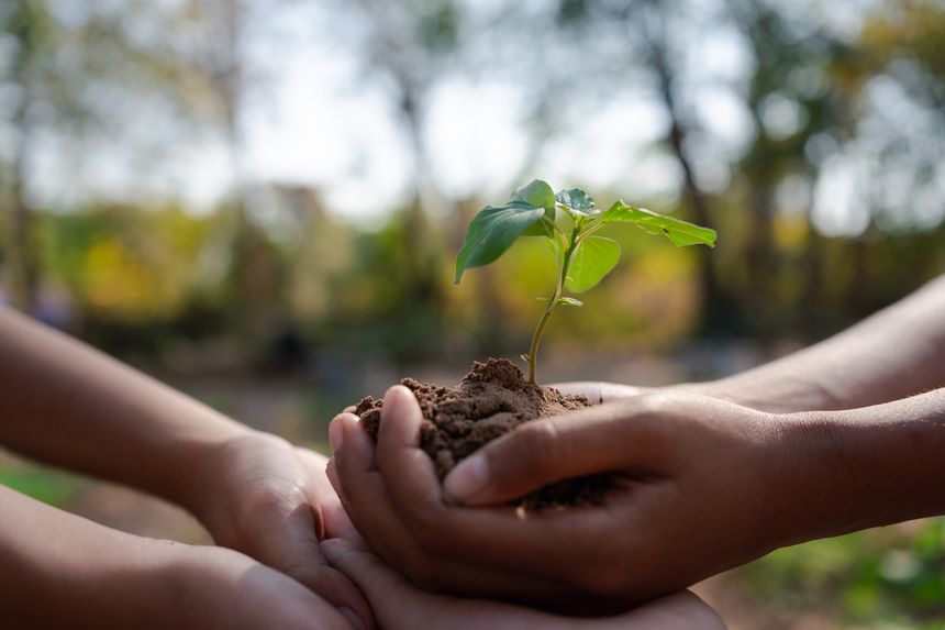 Multiple hands joining together to support a small plant. Conceptual image of teamwork, partnership, and corporate social responsibility (CSR) for environmental protection