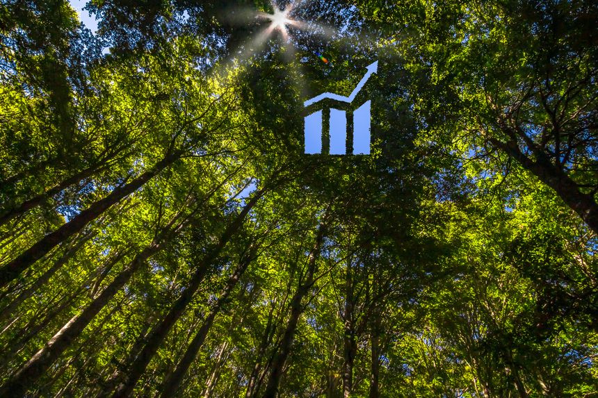 Concept for responsible, environmental, business or green investments