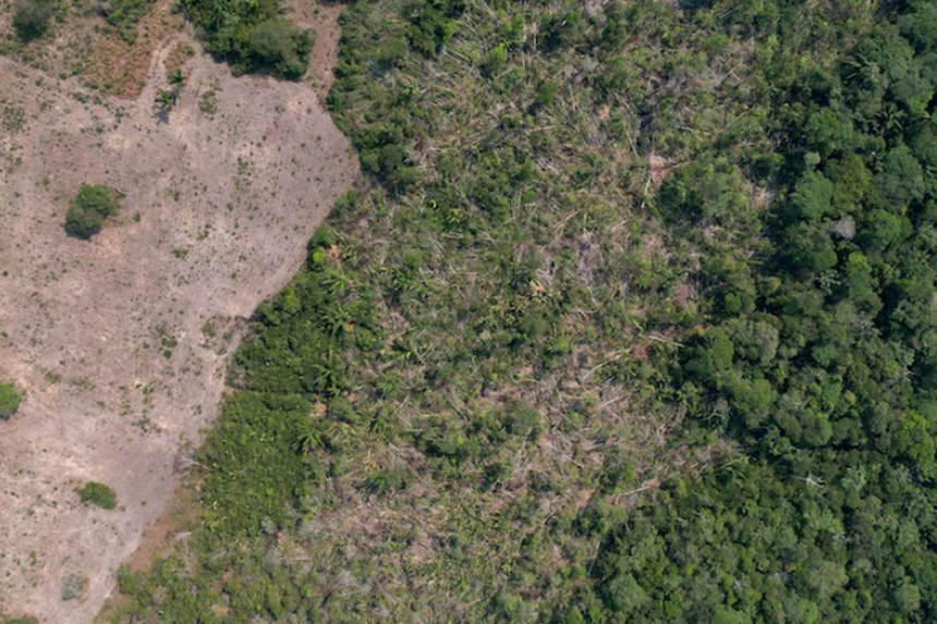 Brazil's Piaui state plans carbon credits to protect rainforest