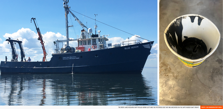 Mysterious ‘ship goo’ contains new life forms