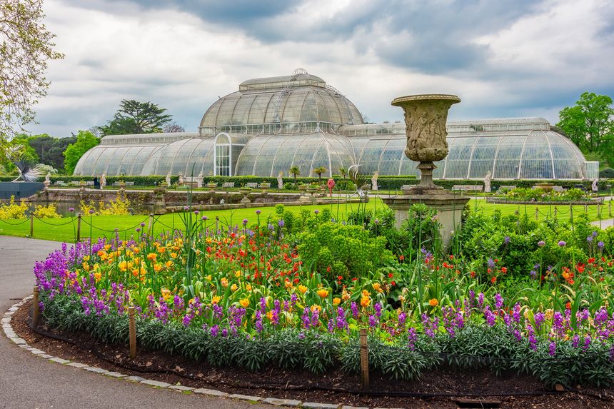 Kew Gardens and Schneider Electric: A Bold Step Toward Climate Positivity