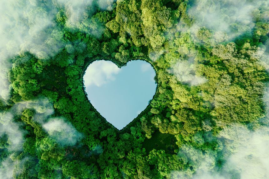 How Social Impact Comes to Life