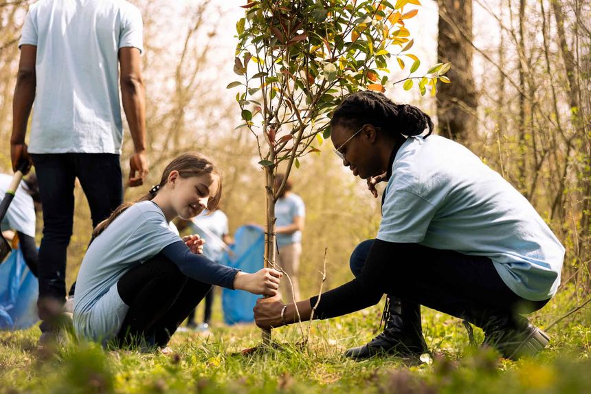 Everyday Steps to Sustainability: Part 3