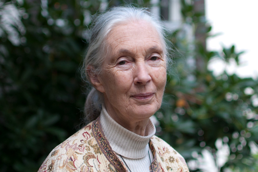 Jane Goodall - She made the world better by being in it
