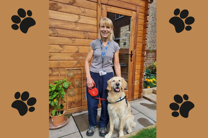 An Ever Better Day: Supporting Guide Dogs for the Blind