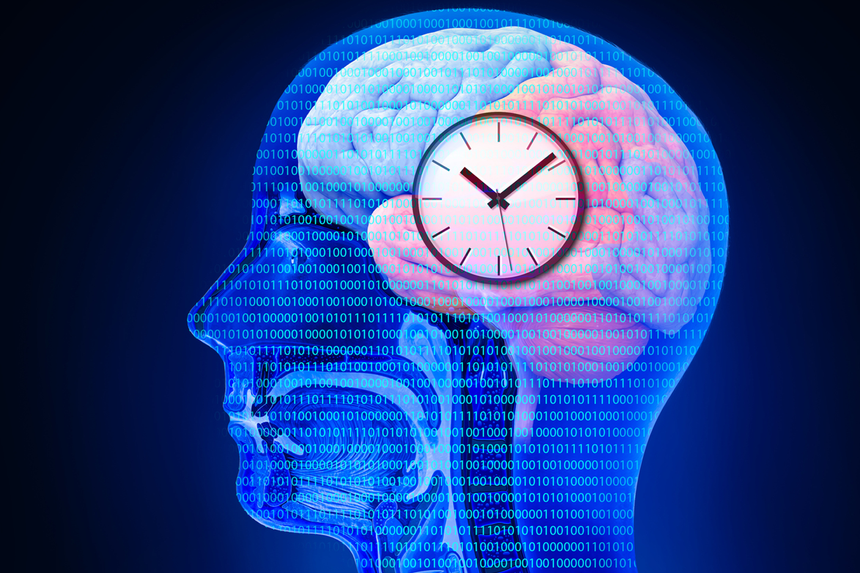 Scientists discover the secret to keeping your biological clock on track