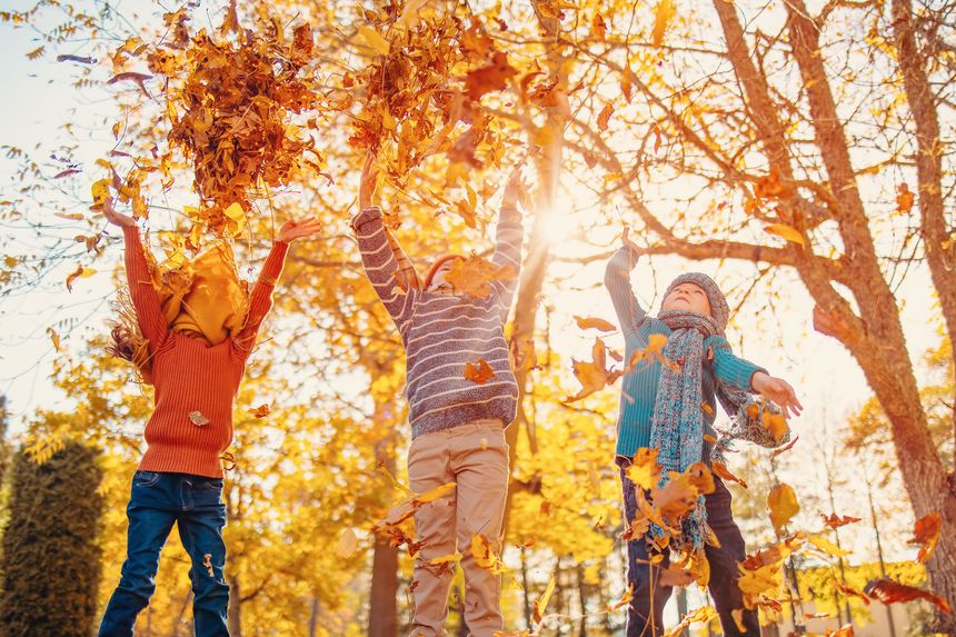 Fun Fall Activities for Your Health and Well-being