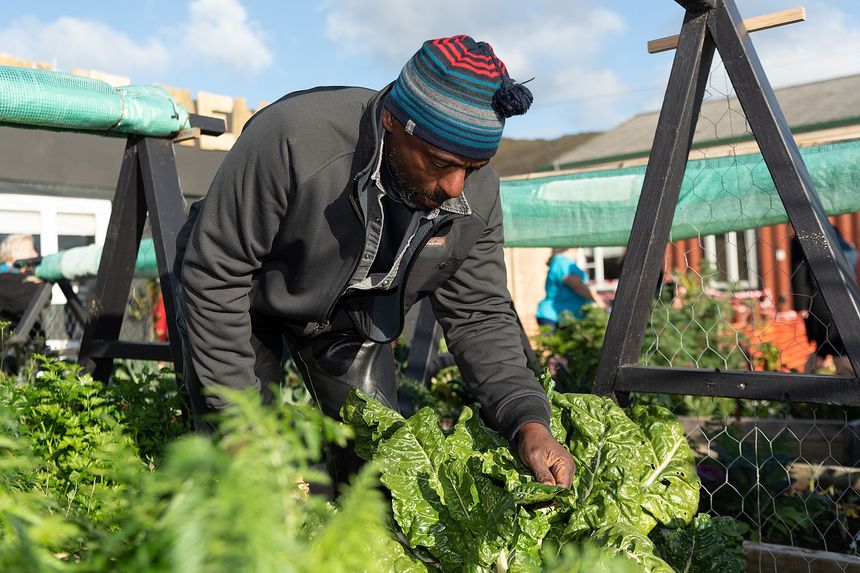 Becoming the 'Gangsta Gardener'
