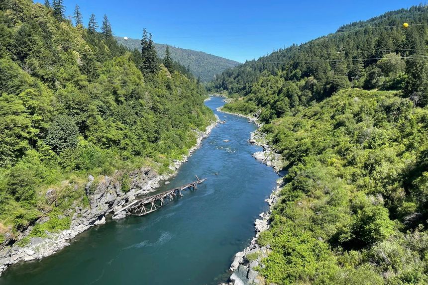 The Scientist Who Taught Us to Read a River