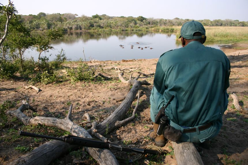 Honoring the Heroes of Conservation: World Ranger Day