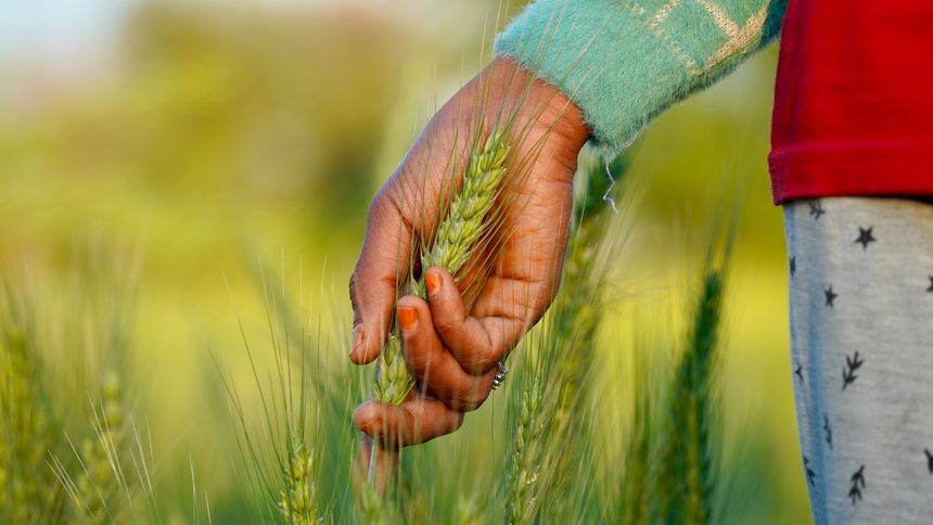 In rural heartlands women lead green revolution silently