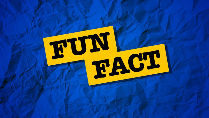 22 Fun & Interesting Facts About The Environment