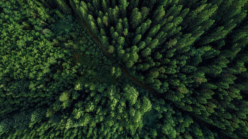 All About Wicked's Sustainability Campaign, Green For Good