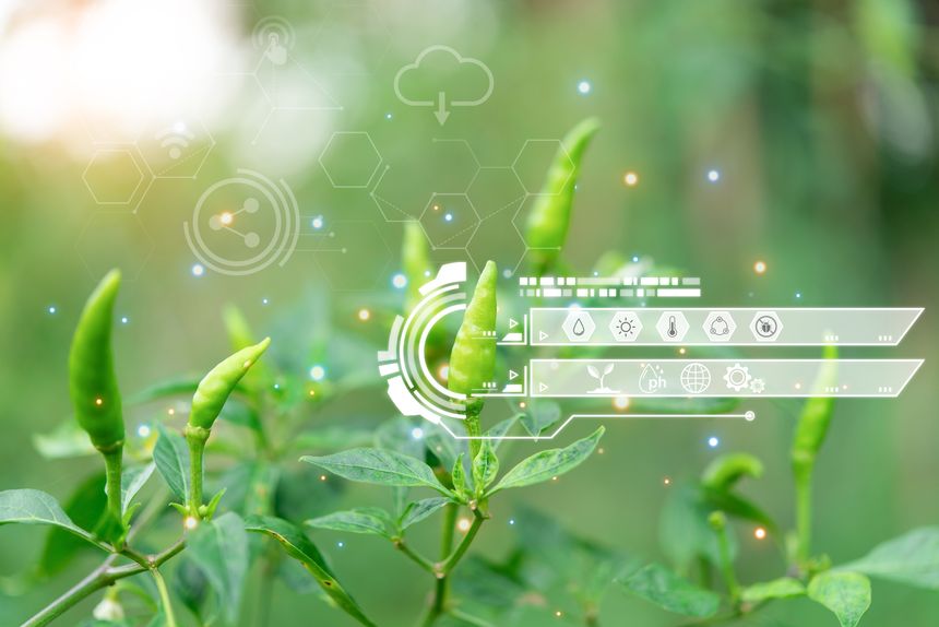 Generative AI: Is It the New Major Driver of Climate Change?