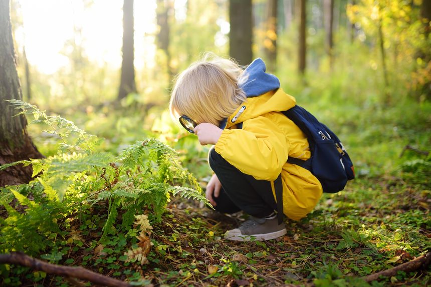 Why Outdoor Learning Matters More Than Ever