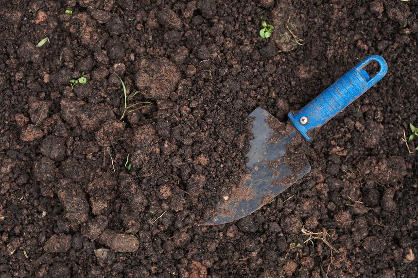 Overhead view of rich, dark brown, clumpy garden soil, ideal for planting. A small, blue-handled metal hand trowel is positioned diagonally in the dirt, suggesting preparation for spring planting or v