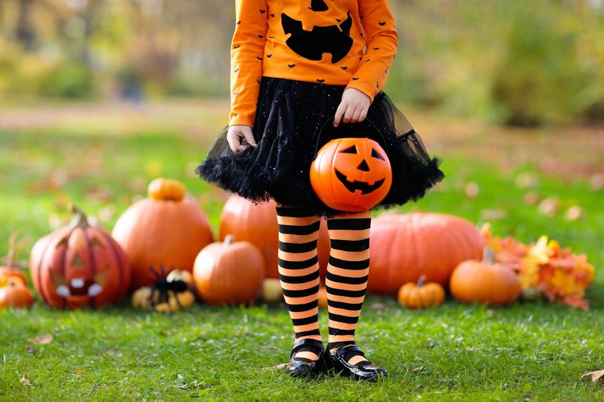 Children in black and orange witch costume and hat play with pumpkin and spider in autumn park on Halloween. Kids trick or treat. Little girl carving pumpkins. Family fun in fall. Dressed up child.