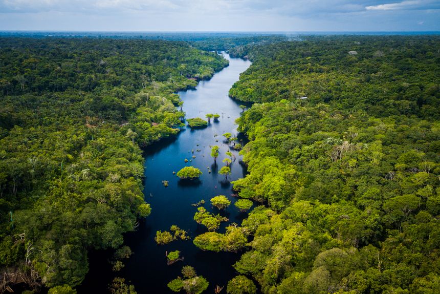 Captured from a high-altitude drone perspective, this image showcases the stunning landscape of the Amazonia biome near Novo Airão City. A deep, winding blackwater river carves through the dense primary forest, featuring distinctive flooded trees known as igapó. The lush green canopy stretches toward the horizon under a soft, overcast sky, illustrating the vast biodiversity and scale of the Amazon basin. The scene captures the tranquil and remote atmosphere of the Rio Negro region, highlighting the unique intersection of water and woodland that defines this world-renowned ecosystem. It is an immersive look at one of the planet's most vital natural environments, emphasizing conservation and the raw beauty of the tropical wilderness.