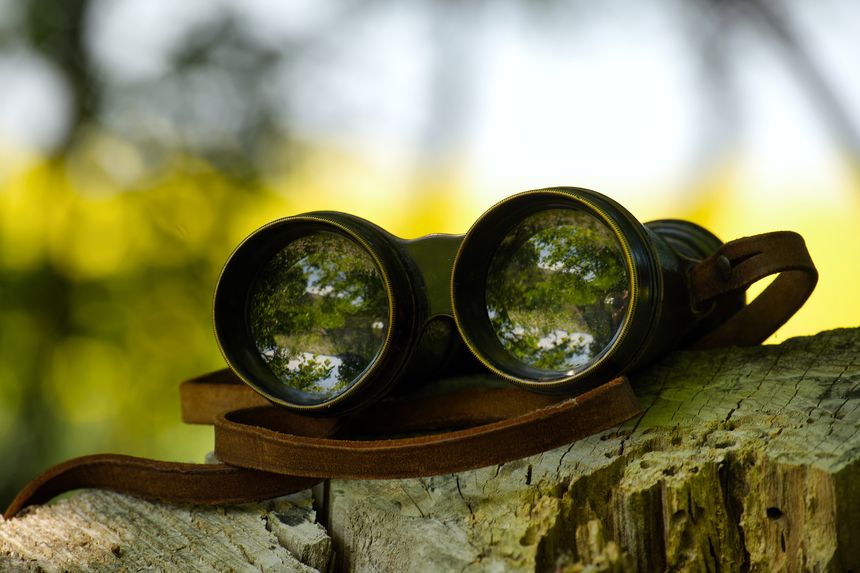 Antique binoculars resting on a wooden surface, reflecting a vibrant green natural environment, conveying exploration and curiosity. Essence of adventure and a timeless connection with the outdoors.