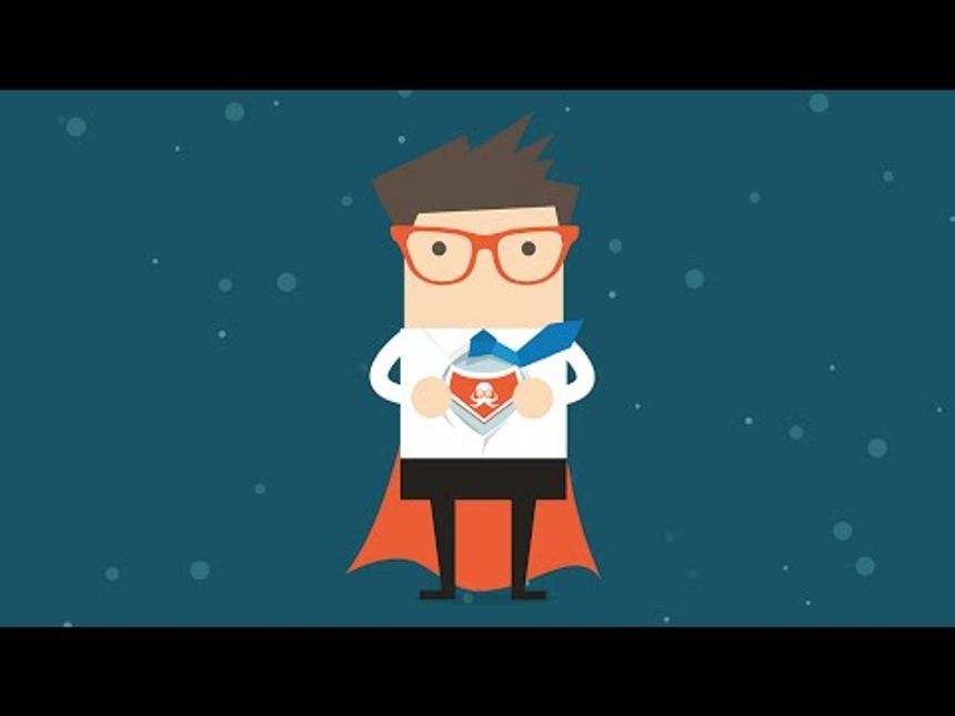 What does Passle do?