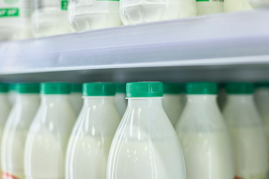 Bottles of milk with green caps arranged on a store shelf. Close-up view showcases uniformity and freshness of dairy packaging, emphasizing order and cleanliness in retail display.