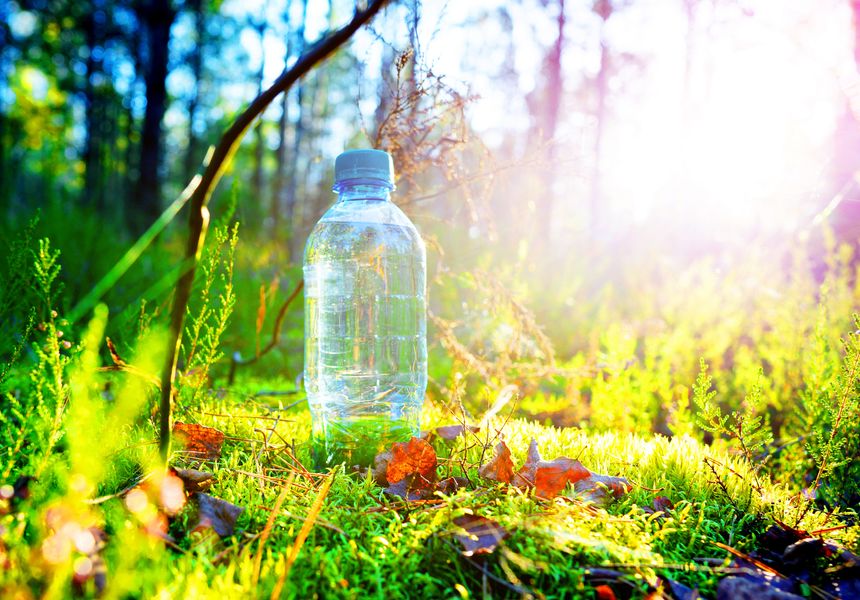 Plastic bottle with fresh drinking water on forest background. Water bottle on moss in sunny forest during hiking, tour journey. Mineral water in plastic bottle in wild nature background in traveling.