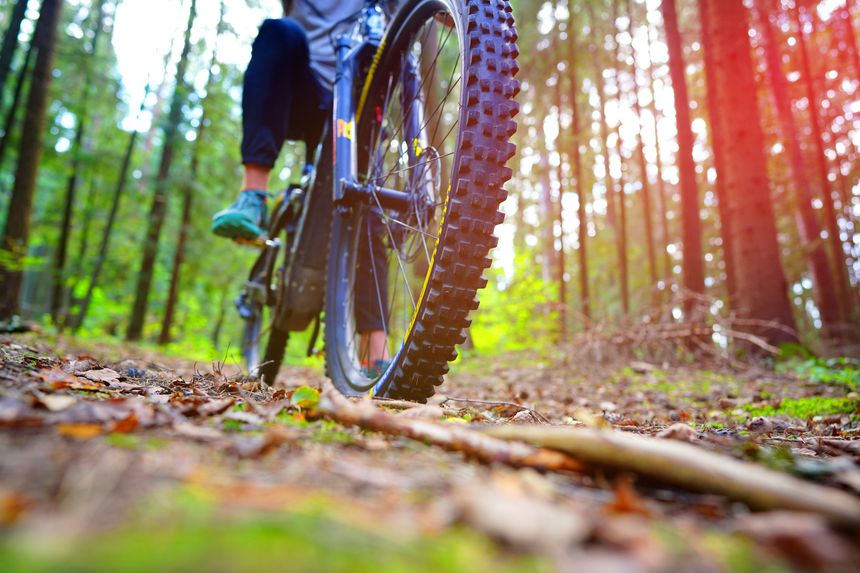 Cyclist on a bicycle, front view. Sportsman cyclist on Electric mountain bike on a forest trail. MTB E-bike ride on forest road in summer. Electric bicycle ebike. Sportswear for cycling. E-mtb wheel.