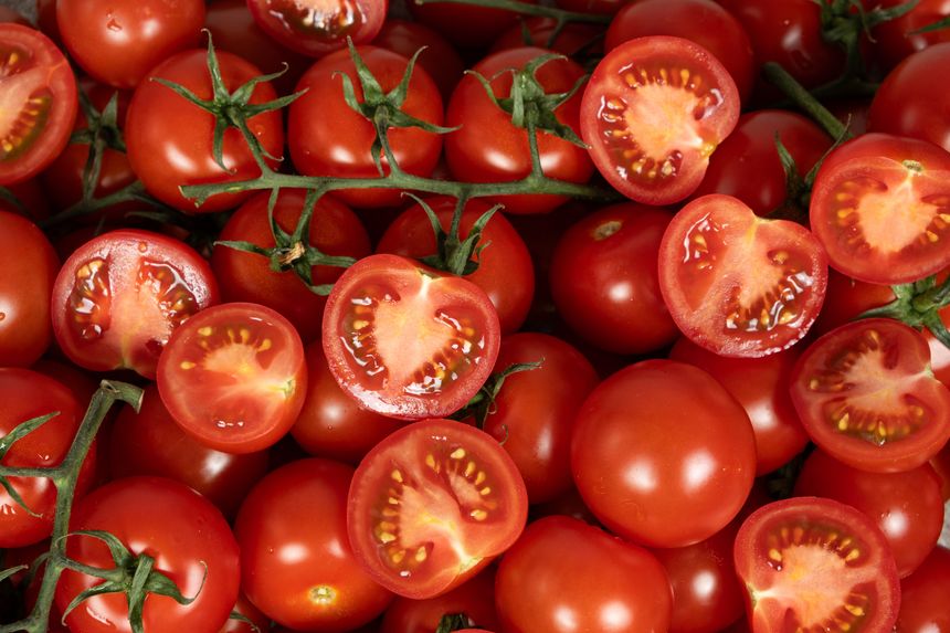 Juicy vegetable tomato background, lots of tomatoes whole and cut in half top view