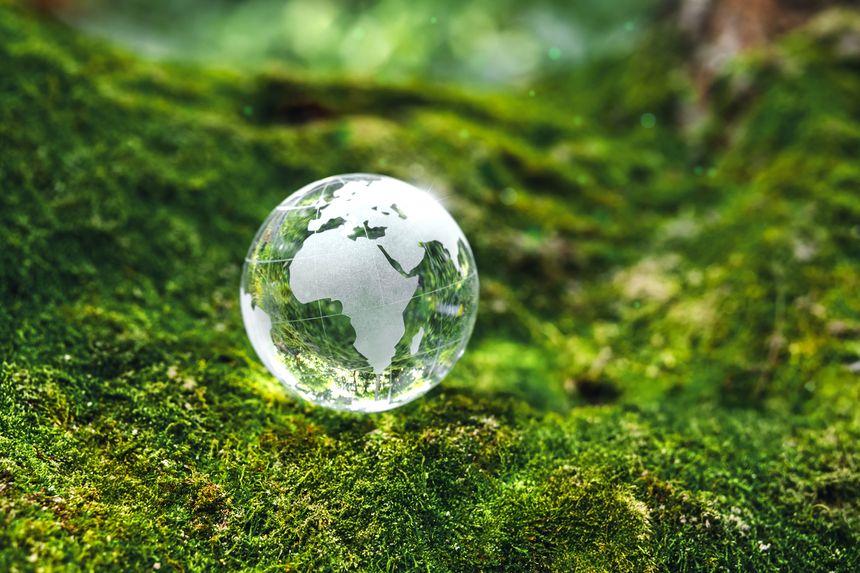 Crystal earth in forest Environment save the World earth day and conservation Concept.