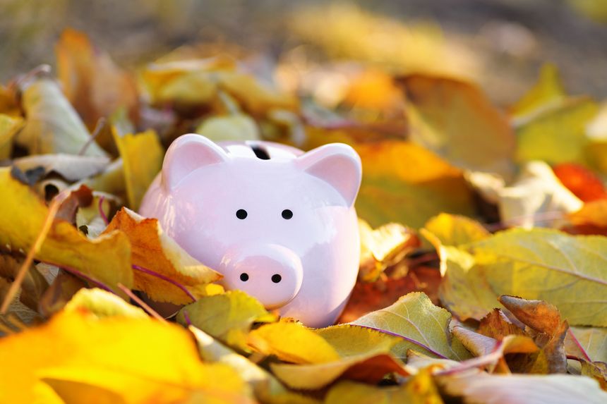 Pink piggy Bank in autumn leaves on the ground. Banking concept in autumn time