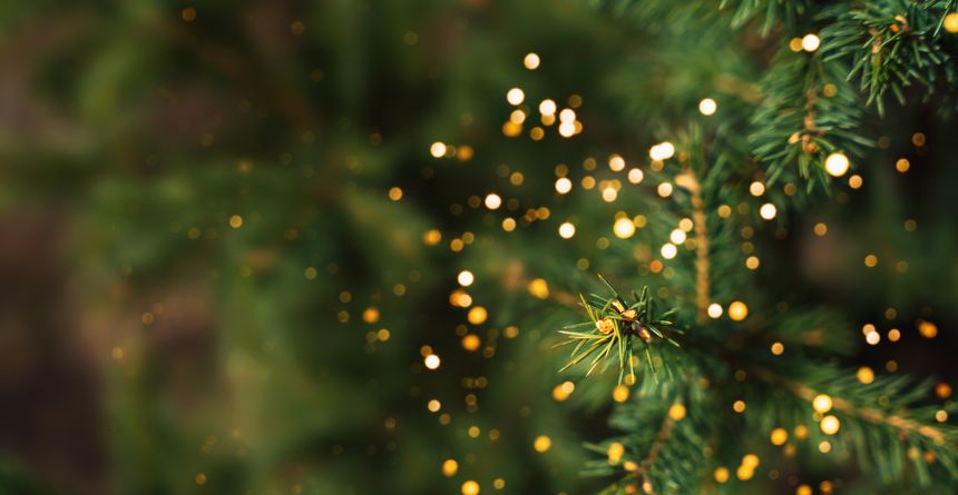 Outdoor christmas tree background with light bokeh.
