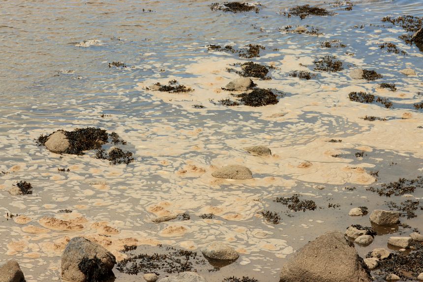 Policyholder Lessons from IBM Environmental Remediation Suit Against Insurers